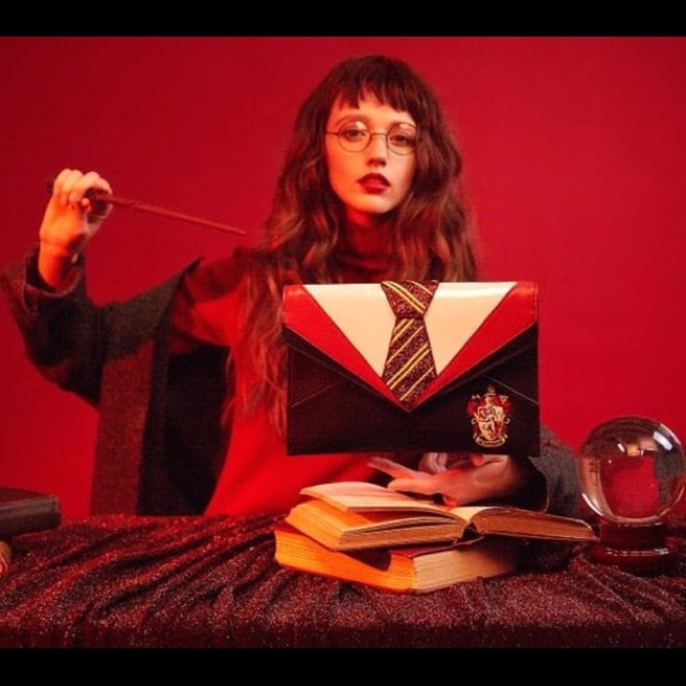 Harry Potter X Danielle Nicole Gryffindor Clutch - image 3